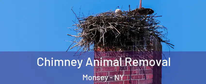  Chimney Animal Removal Monsey - NY
