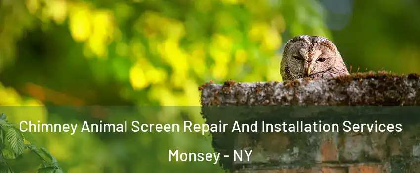  Chimney Animal Screen Repair And Installation Services Monsey - NY