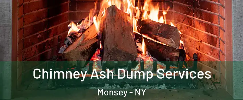  Chimney Ash Dump Services Monsey - NY