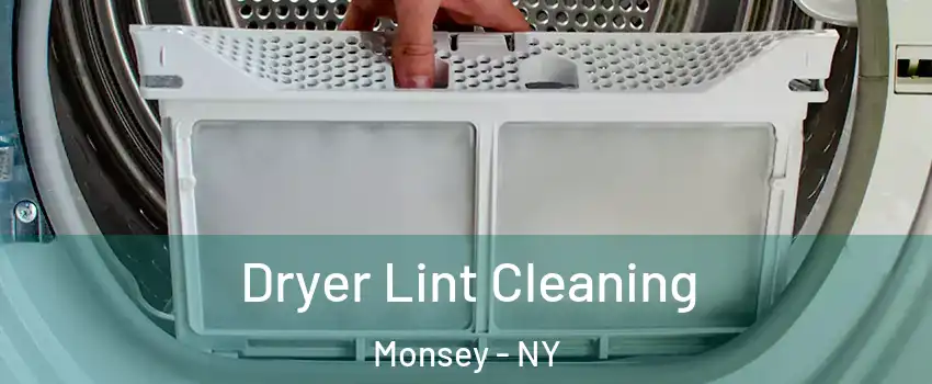  Dryer Lint Cleaning Monsey - NY