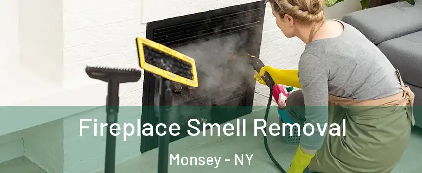 Fireplace Smell Removal Monsey - NY