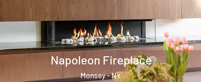  Napoleon Fireplace Monsey - NY