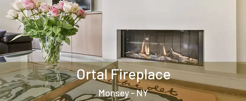  Ortal Fireplace Monsey - NY